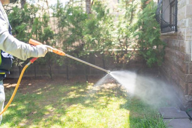 Best Local Pest Control Services  in Lake Crystal, MN